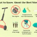 Can I Use a Reel Mower on My Lawn?