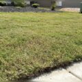 Can You Use a Reel Mower on Uneven Ground?
