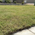 Can You Use a Reel Mower on Uneven Ground?