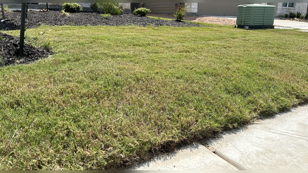 Can You Use a Reel Mower on Uneven Ground?