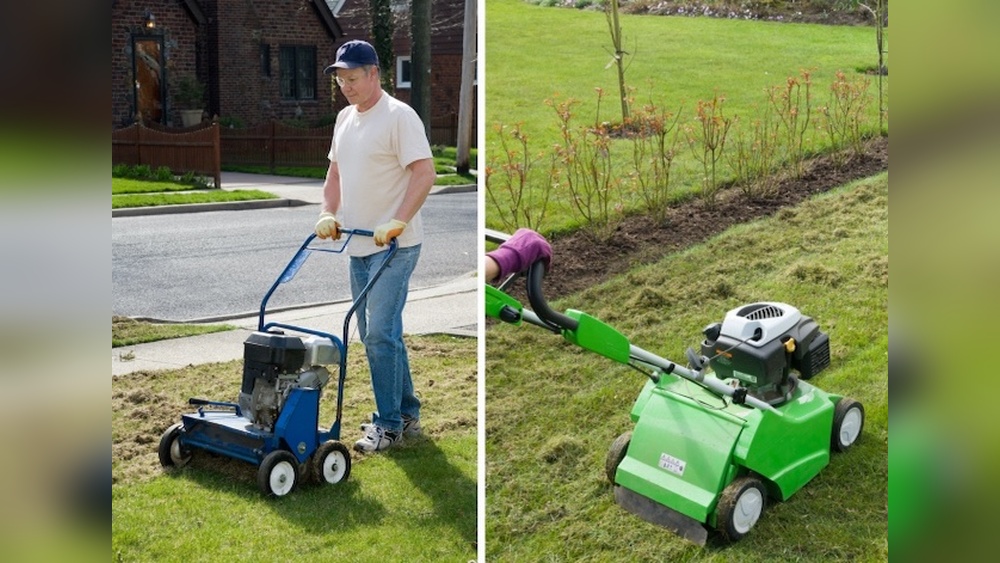 Difference between Power Rake And Dethatcher