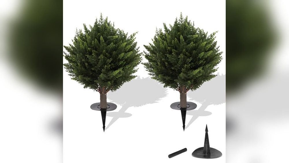 Low Maintenance Plants for Big Pots Outside