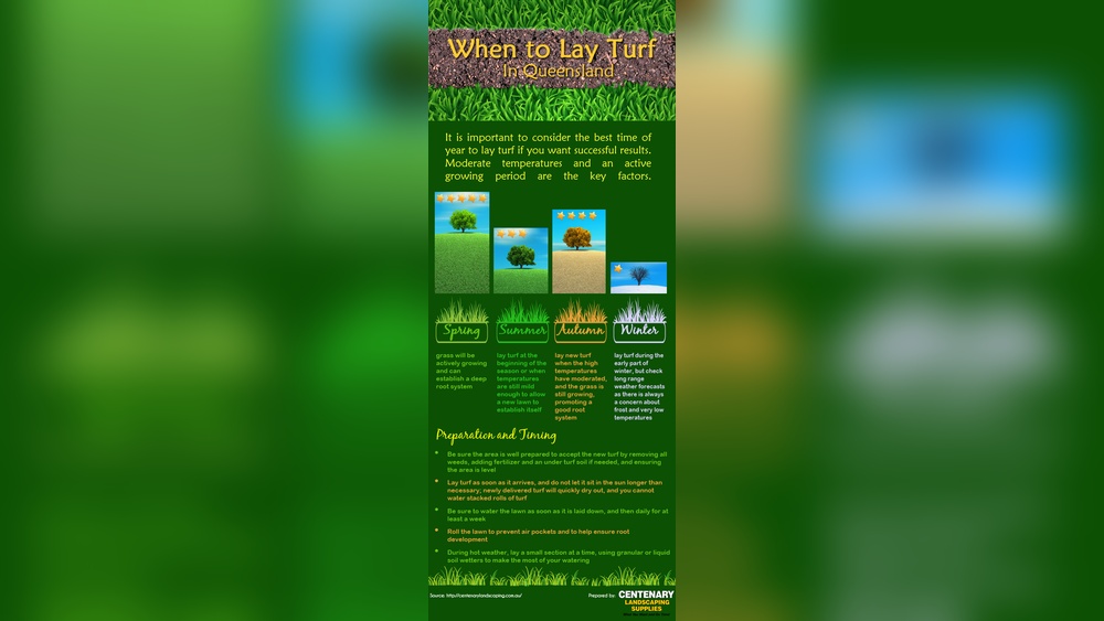 How Long Does Roll on Lawn Take to Establish?