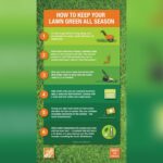 How to Make Lawn Green