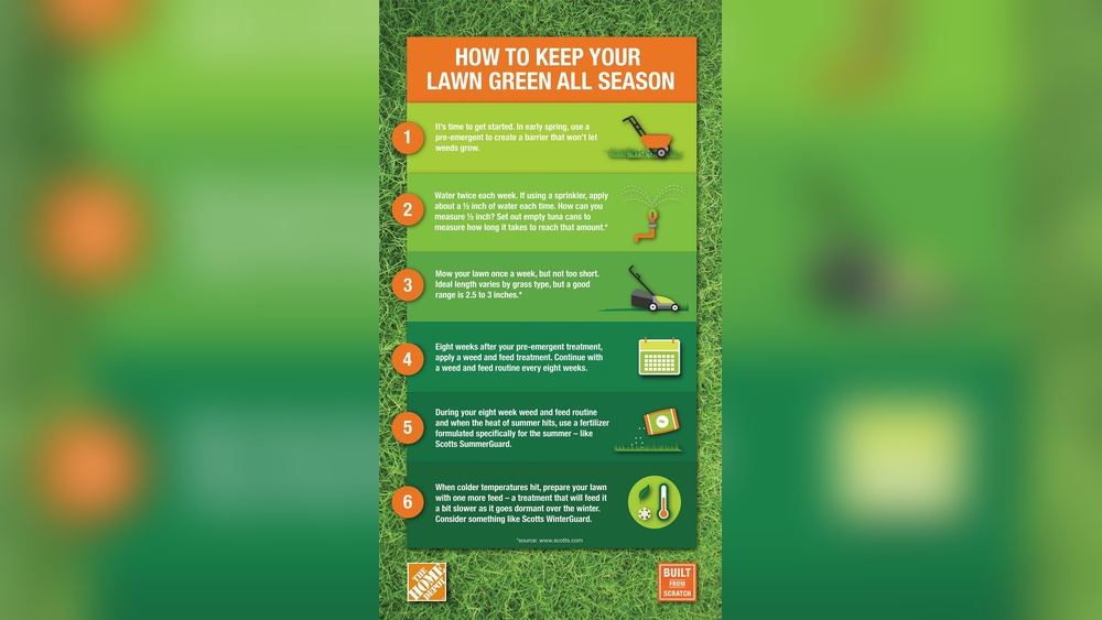 How to Make Lawn Green