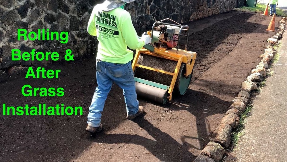 Should I Roll My Lawn After Seeding