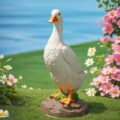 Best Ducks for Garden