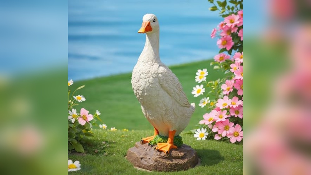 Best Ducks for Garden