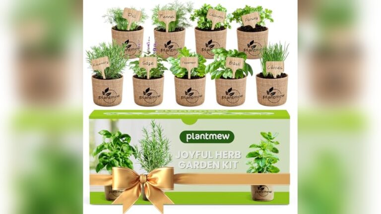 Best Herb Garden Kit