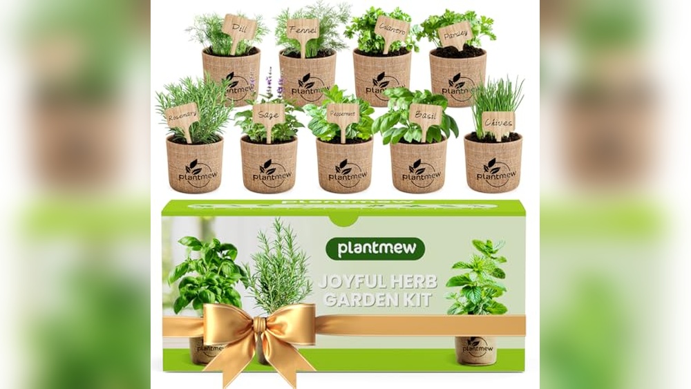 Best Herb Garden Kit