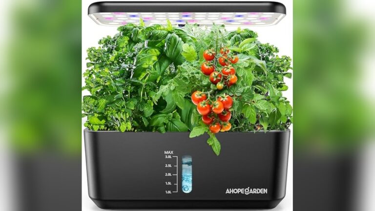 Best Hydroponic Indoor Garden for Beginners