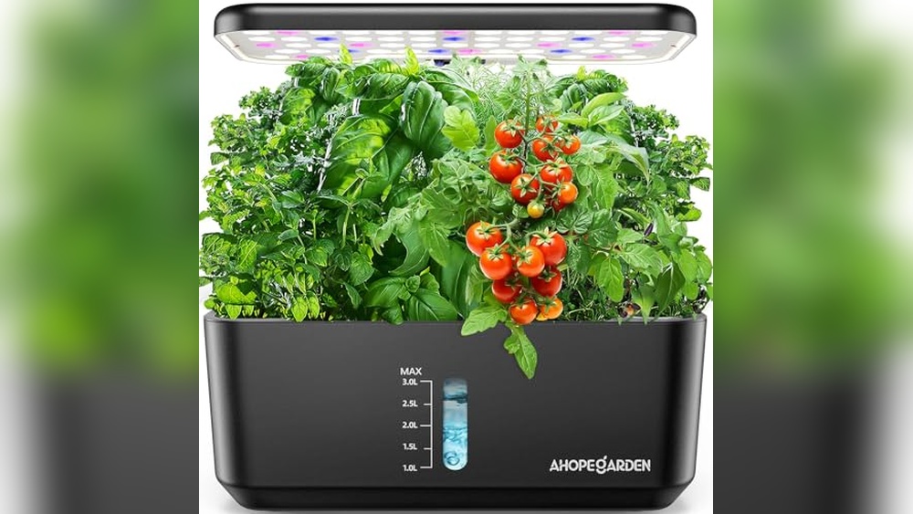 Best Hydroponic Indoor Garden for Beginners