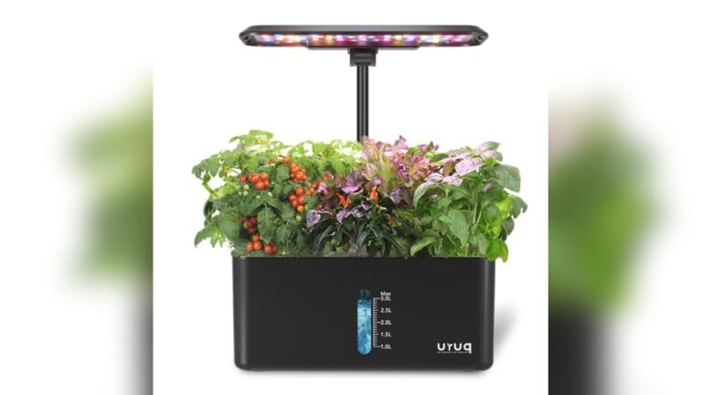 Best Indoor Herb Garden Kit