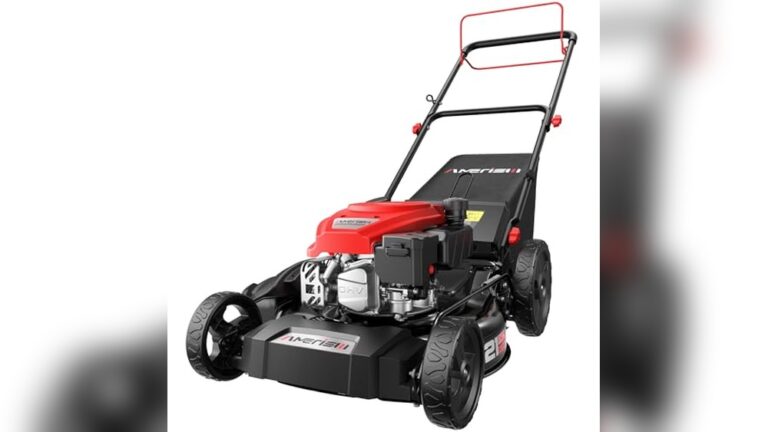 Home Best Petrol Lawn Mower Self Propelled