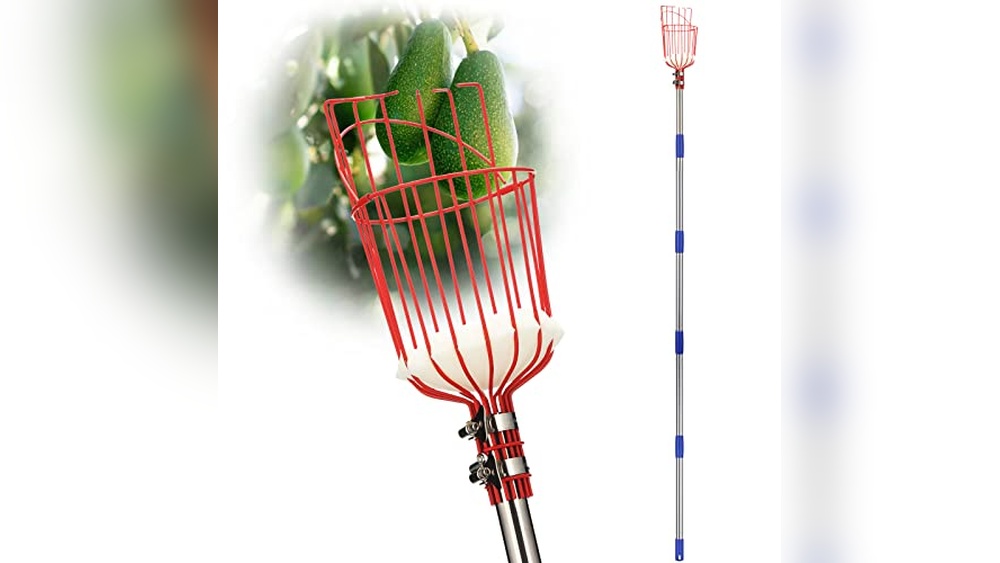 Fig Picker