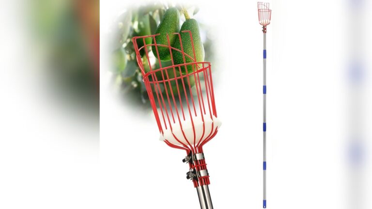Mango Fruit Picker